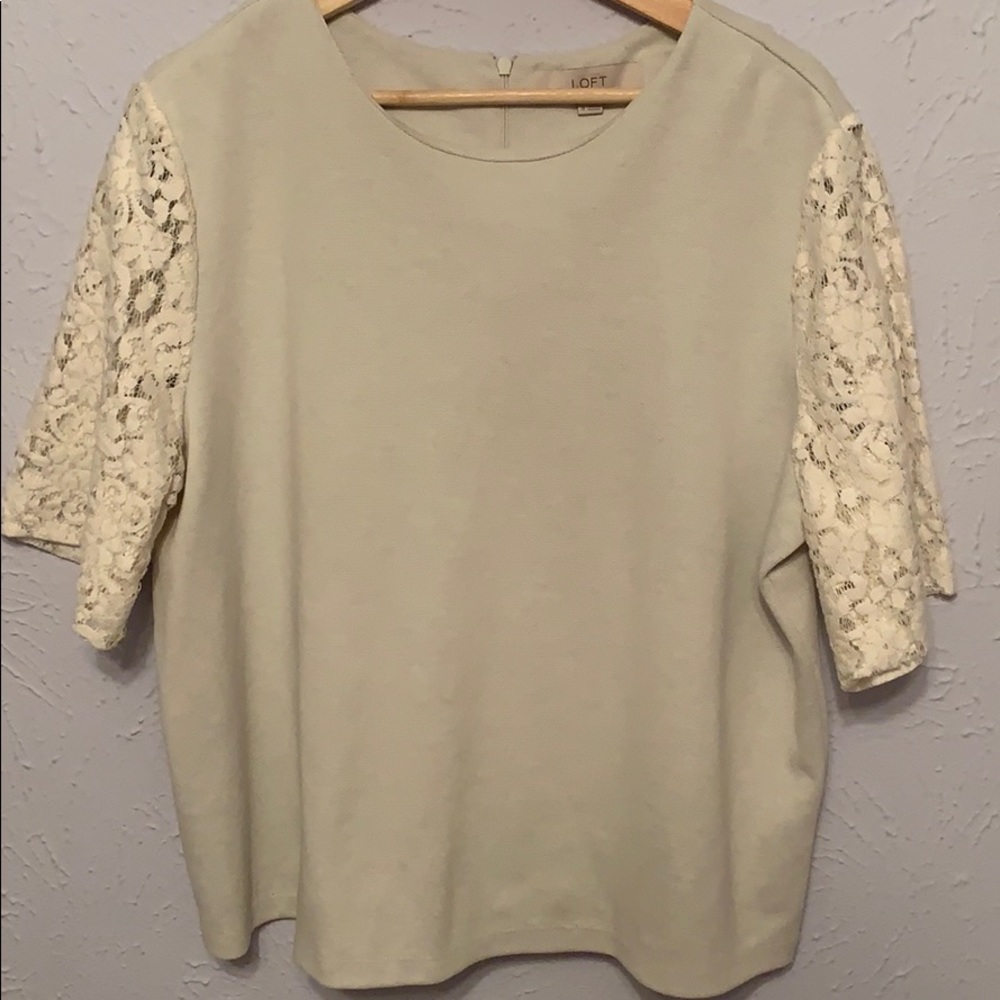 Loft Lace Sleeve Top
